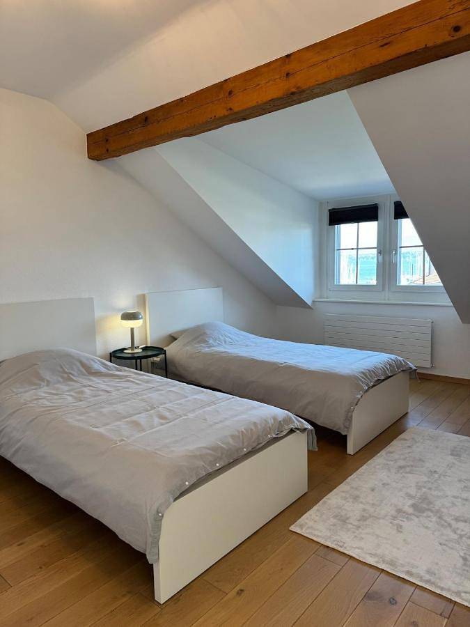 Gîte pour 8 personnes, avec jardin ainsi que vue sur le lac et vue, animaux acceptés à Versoix - 4