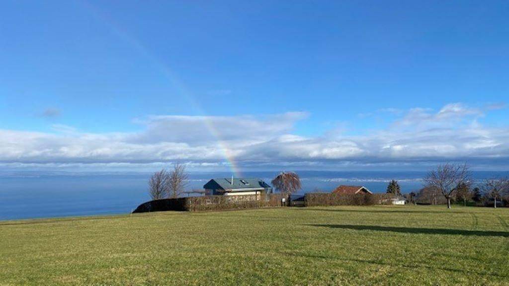 Ferienhaus mit Traumaussicht über den Bodensee in Bodensee (Schweiz)