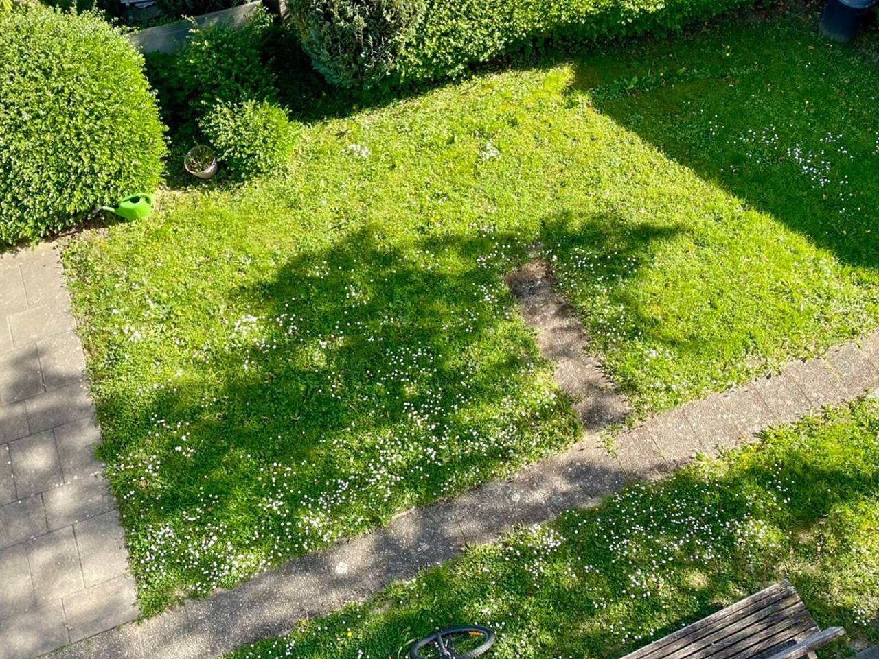 Ganze Wohnung, Ferienwohnung Seehas am Bodensee - Ferienwohnung mit 75qm, 2 Schlafzimmer, max. 6 Erwachsene + 2 Kinder in Friedrichshafen, Region Bodensee-Oberschwaben