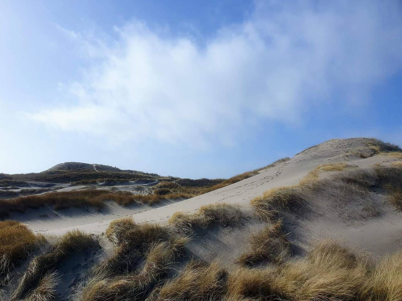 Rustikales Refugium mit Blick in Ringkøbing, Holmsland Klit
