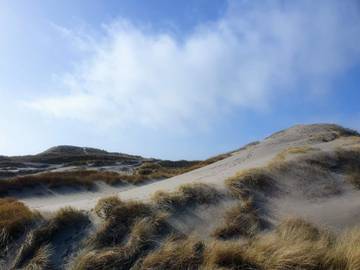 Feriehus til 6 Personer i Houvig Strand, Holmsland Klit, Bilde 4