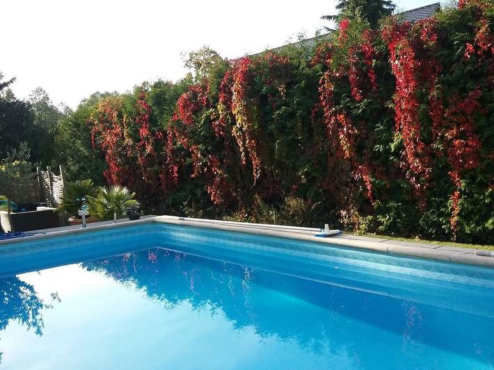 Ferienhaus für 2 Personen, mit Garten und Pool in Naturpark Barnim