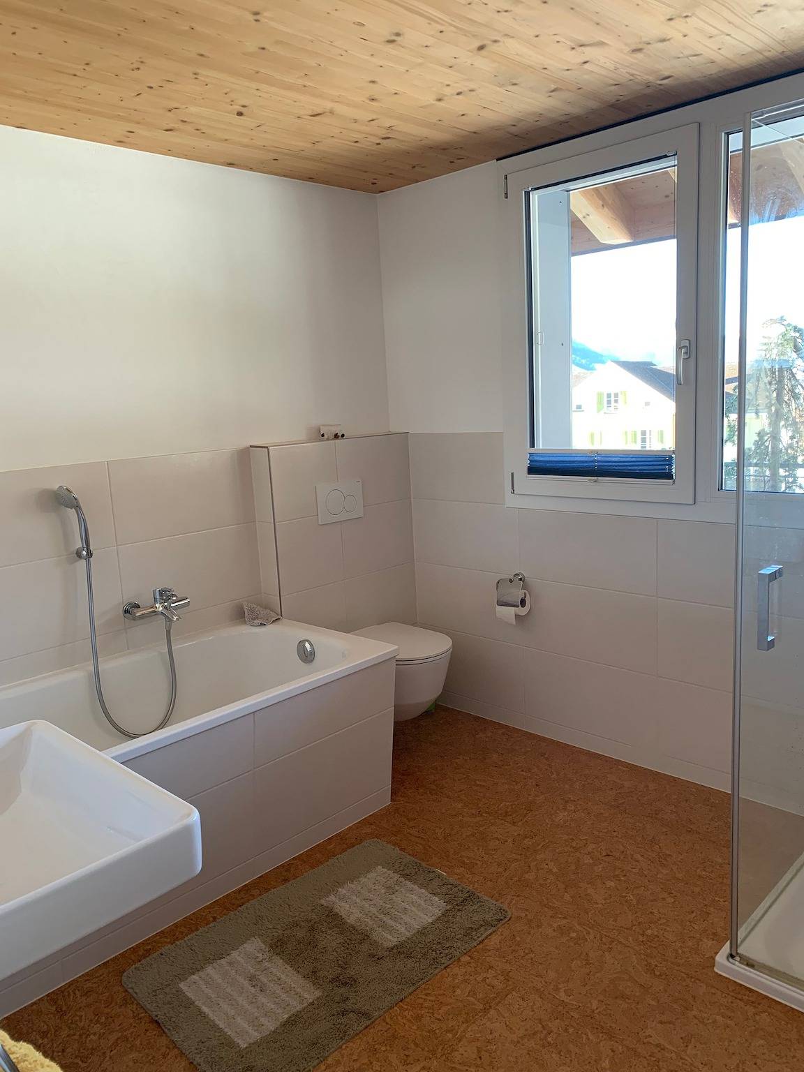 Ganze Ferienwohnung, Ferienwohnung Panoramablick in Wildhaus, Wildhaus-Alt St. Johann