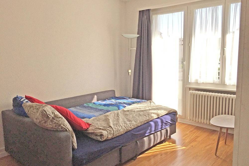 Apartamento entero, 2 room apartment in Berna, Cantón de Berna