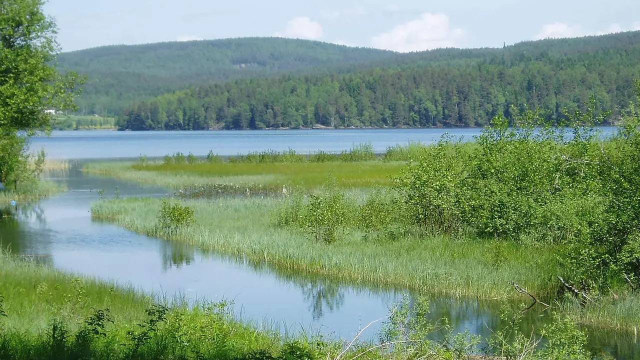 Ferienhaus für 5 Personen (75 m²) in Arvika in Rackstad, Värmland