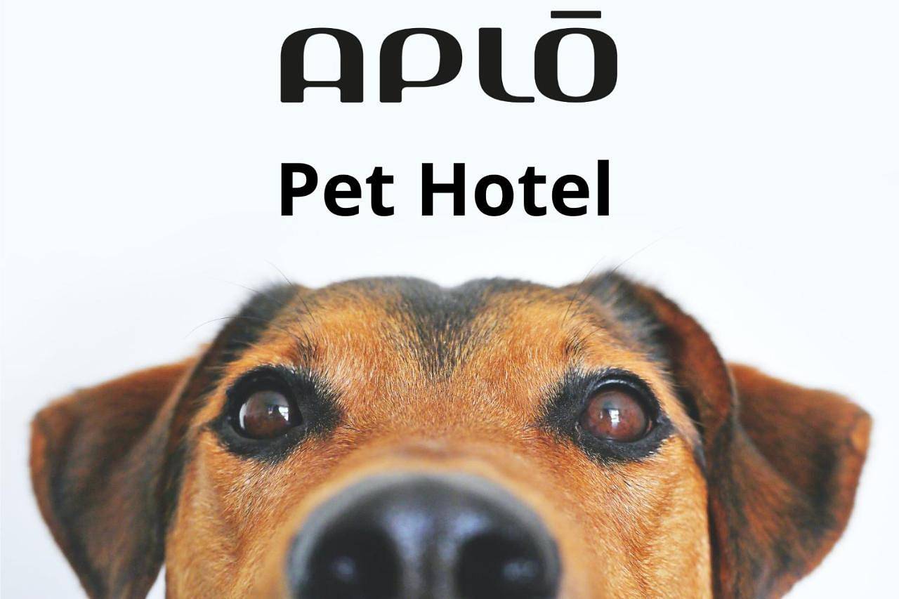 Hotel Aplo - Breakfast Experience in Cervia, Ravenna Provinz