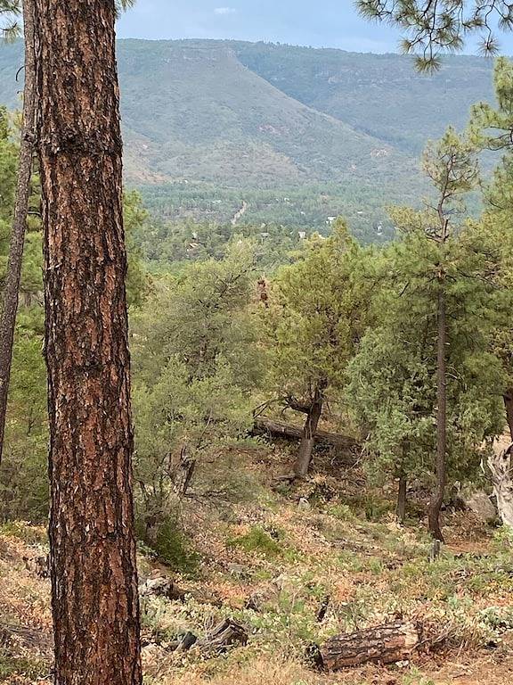 Make Memories in this Comfy Two Bedroom Two Bath Home in Gila County