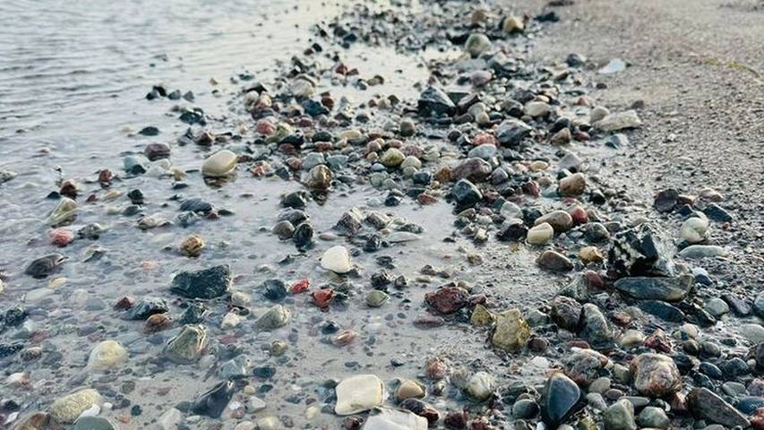 Ferienwohnung für 2 Personen, mit Balkon, mit Haustier in Lobbe - 4