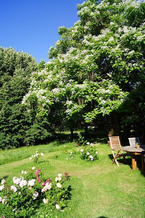 Location de vacances pour 4 personnes, avec piscine et jardin à Saint-Lothain - 4