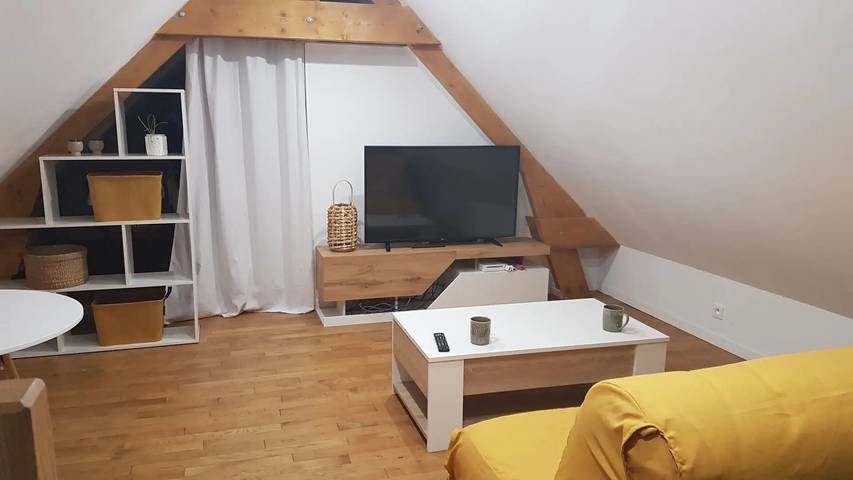 Chambre d’hôte pour 4 personnes, avec jardin dans la Sarthe - 4