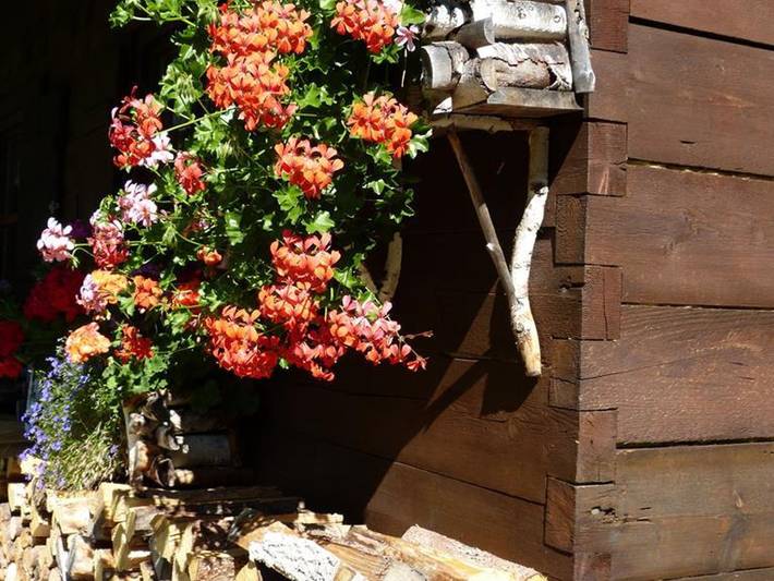 Ferienwohnung für 3 Personen, mit Balkon in Schloss Linderhof - 3