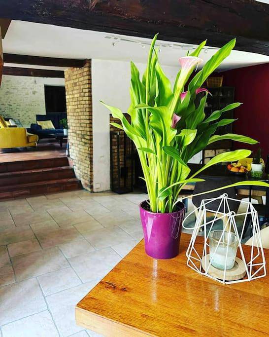 Location de vacances pour 8 personnes, avec vue ainsi que jardin et piscine, animaux acceptés à Menetou-Salon - 2