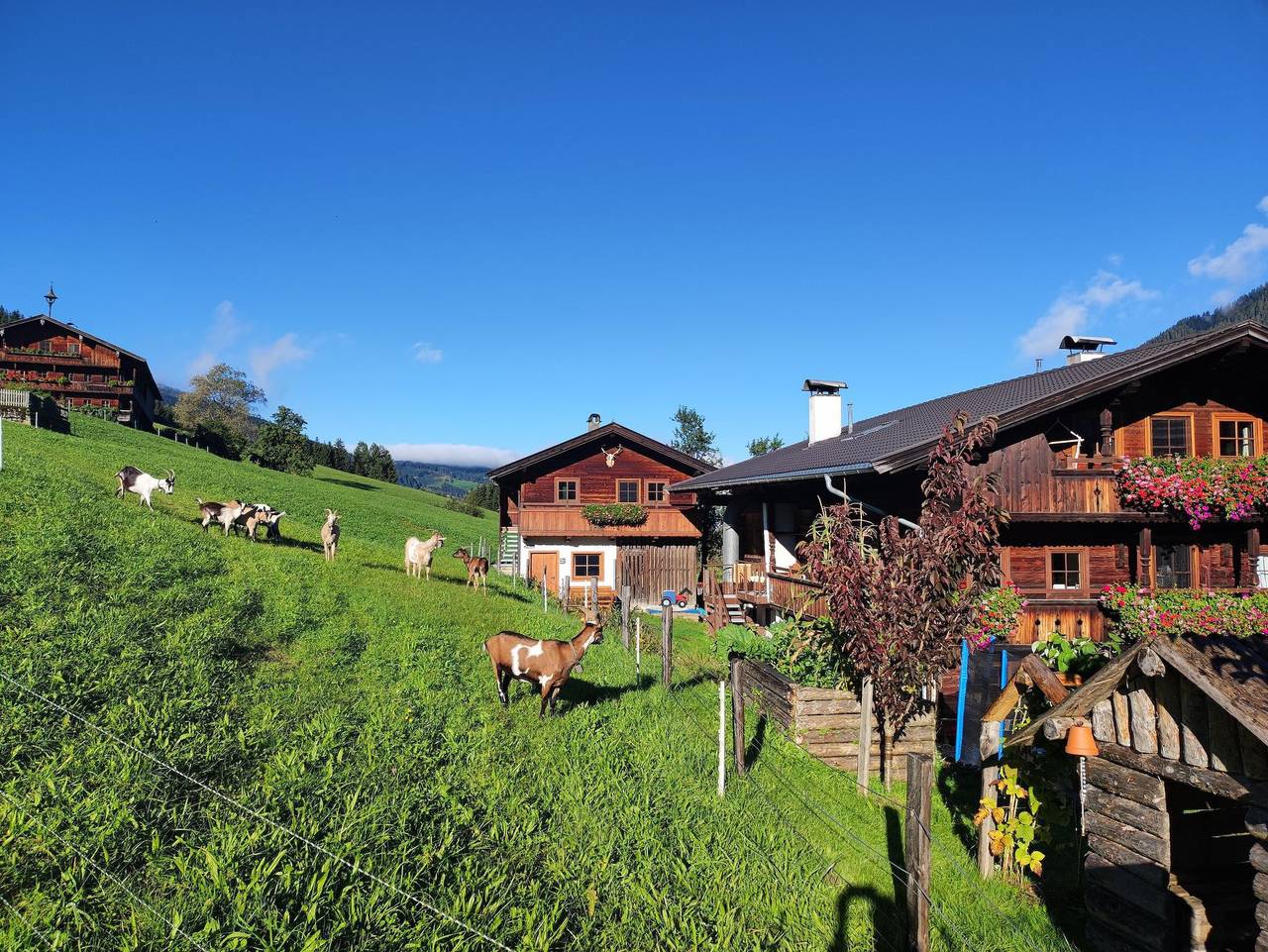 Ganze Ferienwohnung, Schneiderhäusl in Alpbach, Kitzbüheler Alpen