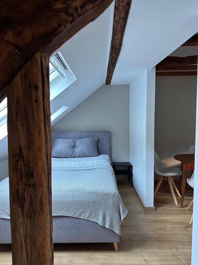 Ganze Wohnung, Weinblick am Rhein in Kaub, Mittelrhein