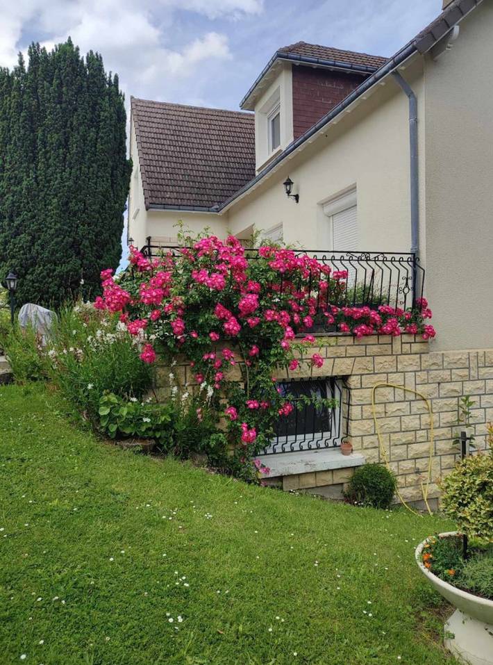 Gîte pour 5 personnes, avec terrasse et jardin à Noyers-sur-Cher - 2
