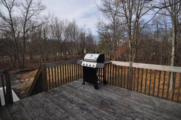 Vacation House for 10 Guests in Carbon County (PA), Picture 1