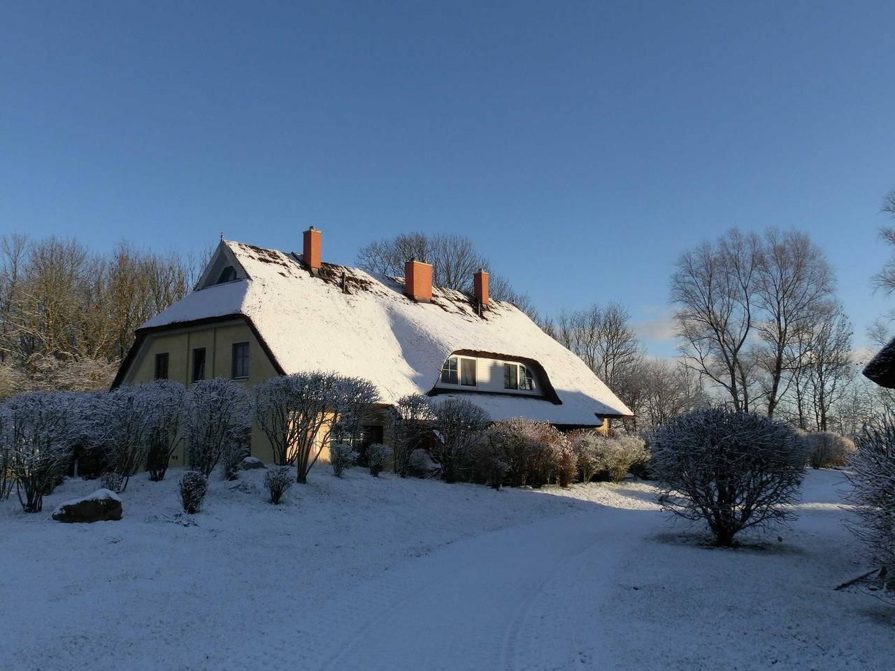 Reetdachhaus Malve 3 im Feriendorf Puddeminer Wiek - Rmh Malve 3 in Puddemin, Poseritz
