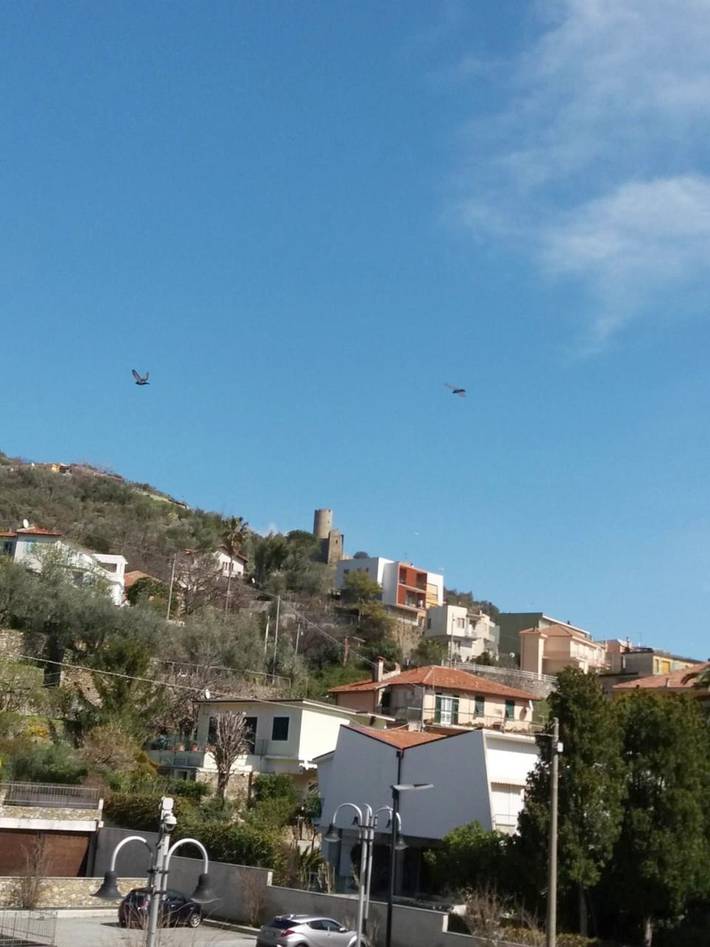 Gîte pour 2 personnes à Noli - 2