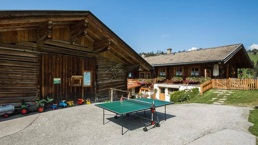 Hütte für 5 Personen, mit Sauna und Balkon in Wagrain - 2