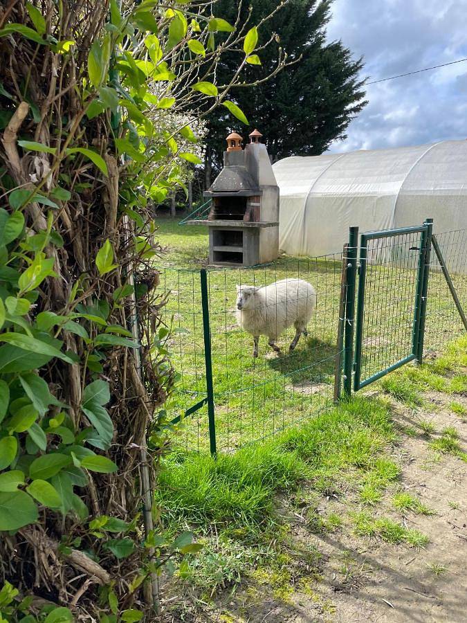 Location de vacances pour 3 personnes, avec jardin et terrasse, animaux acceptés à Sargé-lès-le-Mans - 3
