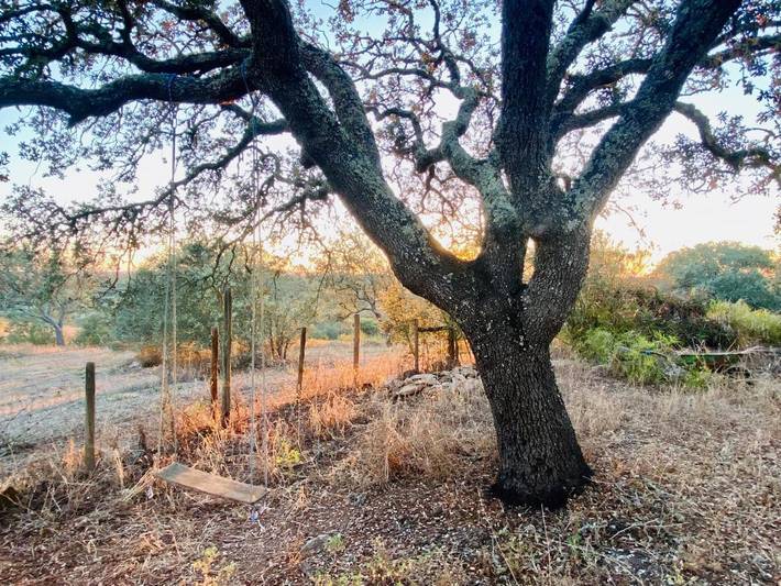 Location de vacances pour 4 personnes, avec terrasse ainsi que jardin et vue, animaux acceptés dans Ourique - 4