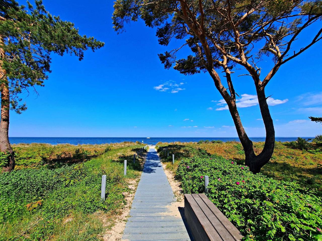 Ganze Ferienwohnung, Ferienwohnung Tinnemeyer - Möwe in Drei Kaiserbäder, Heringsdorf