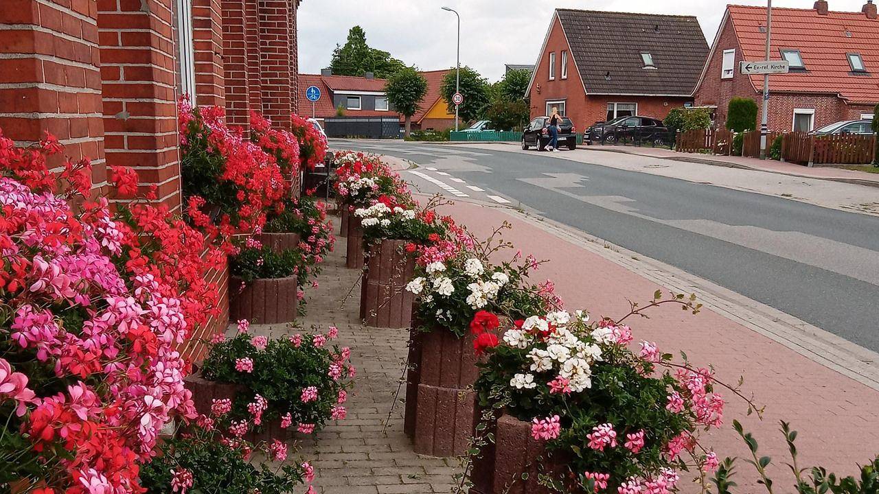 Ganze Ferienwohnung, Ferienwohnung für 3 Personen (32 m²) in Hinte Loppersum in Loppersum (Hinte), Hinte