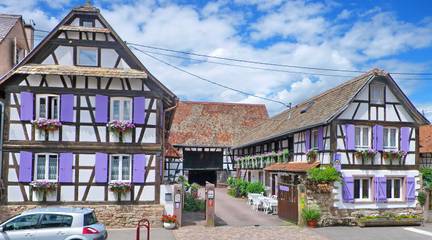 Gîte pour 5 personnes, animaux acceptés à Blaesheim