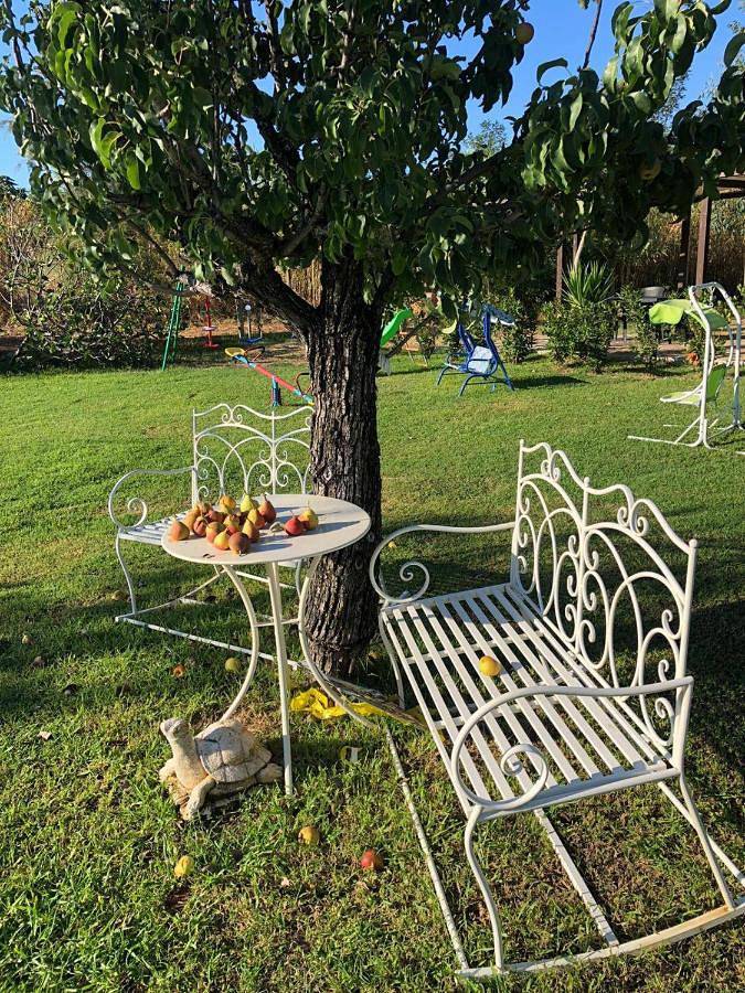 Aristea Case Vacanza in Diamante, Tyrrhenische Küste Kalabrien