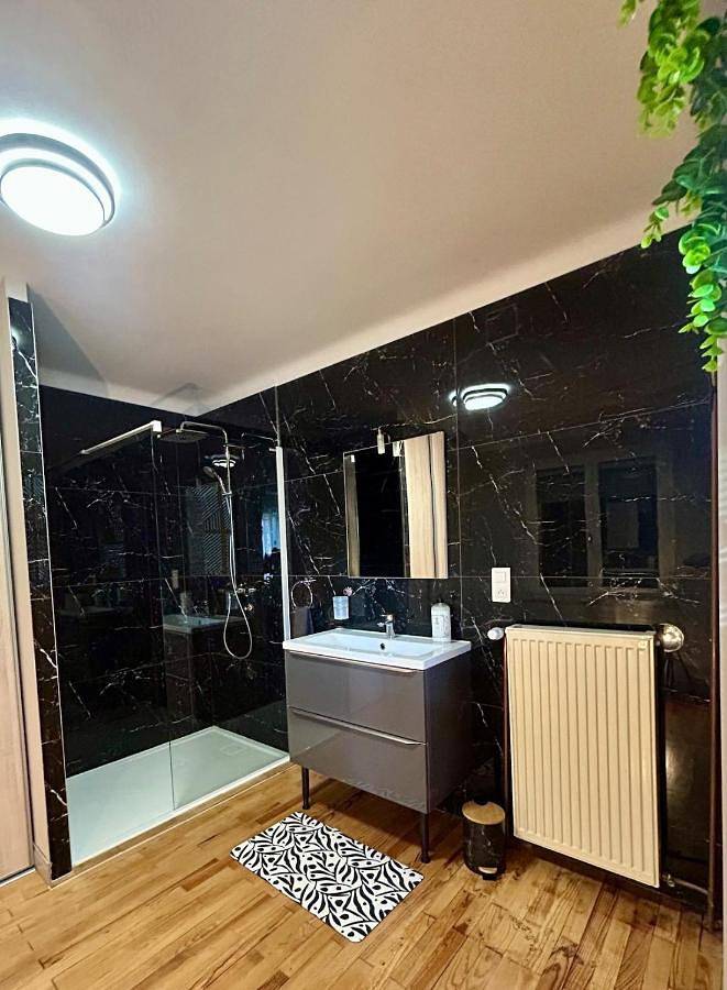 Location de vacances pour 6 personnes, avec vue ainsi que jardin et terrasse à Bitsch - 2