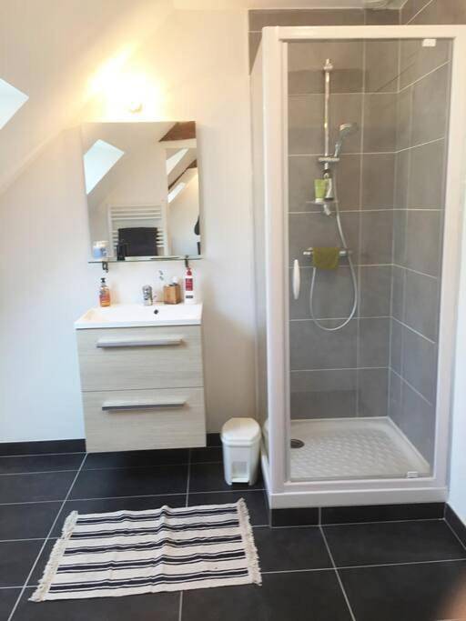 Location de vacances pour 3 personnes, animaux acceptés à Pleslin-Trigavou - 2