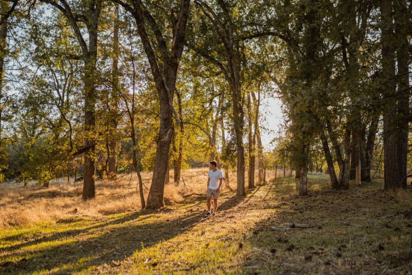 Romantic Forest *Loversnest* by Casa Oso in Mariposa County