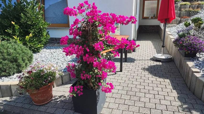 Ferienwohnung für 2 Personen, mit Terrasse in Alken - 2