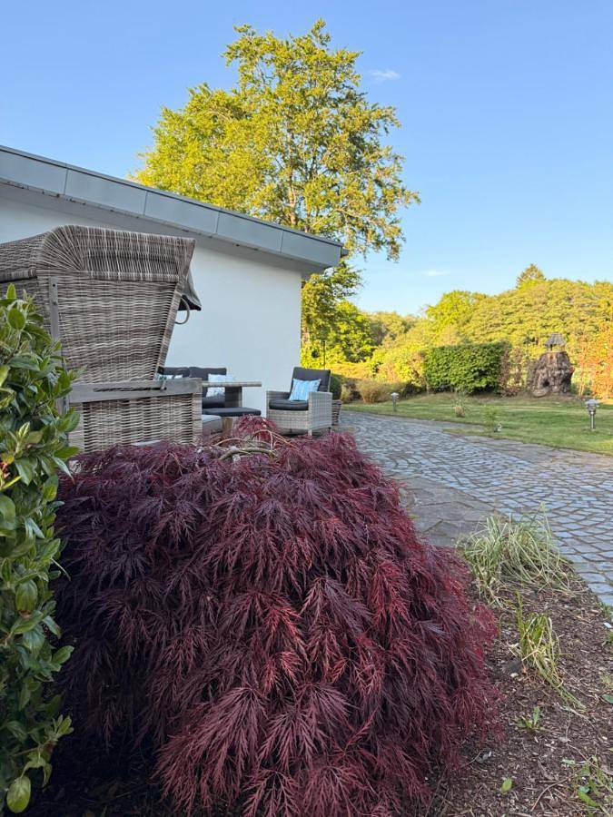 Ferienwohnung für 4 Personen, mit Balkon und Terrasse sowie Garten und Ausblick in Roetgen - 3