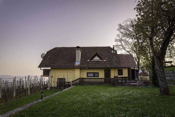 Location de vacances pour 6 personnes, avec jardin et sauna dans Novo mesto - 3