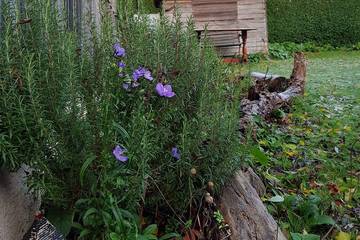 Holiday Rental for 8 People in Snettisham, Norfolk, Photo 2