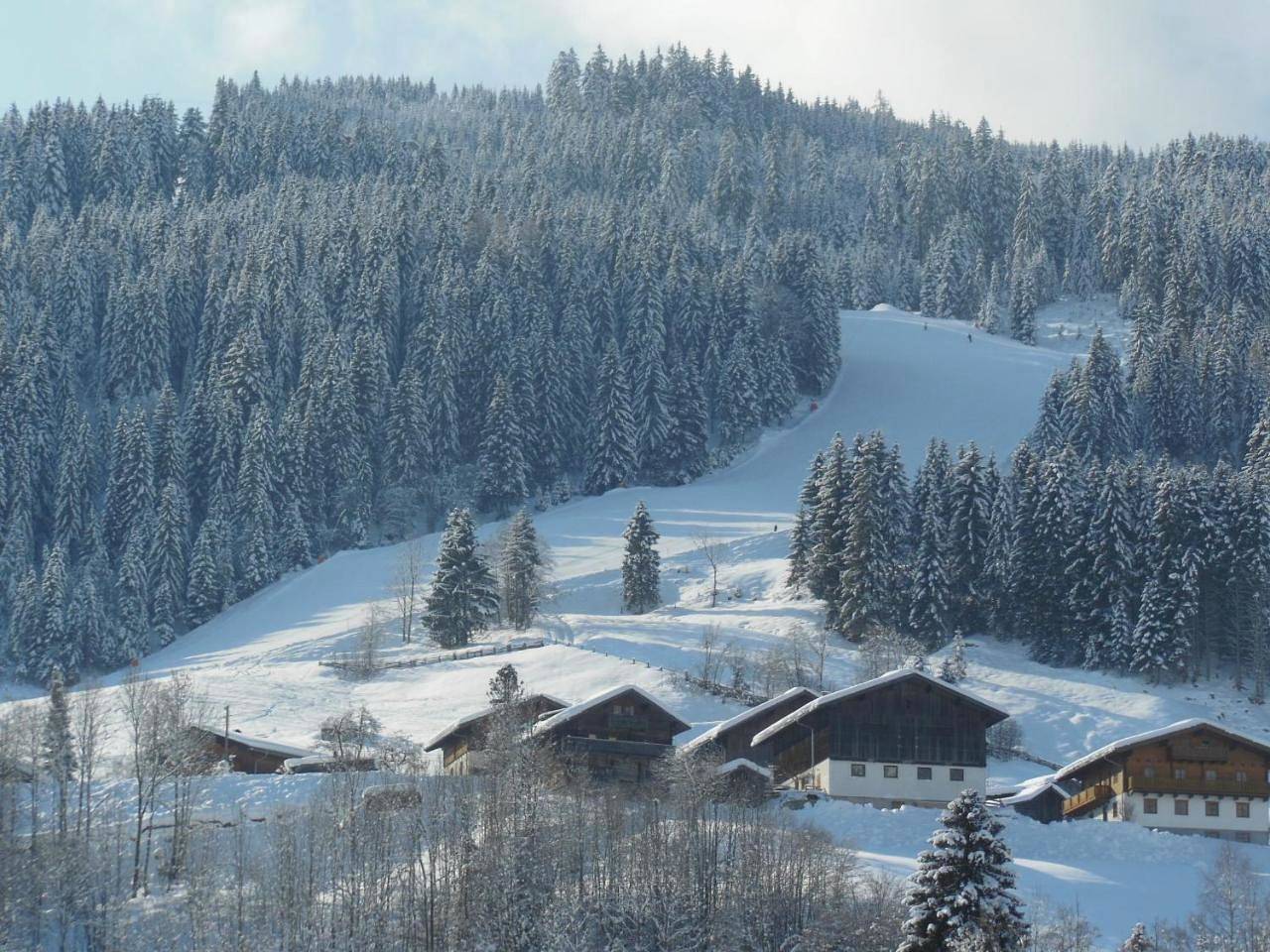 Ganze Wohnung, Haus Schönleiten in Wagrain, Ski Amadé