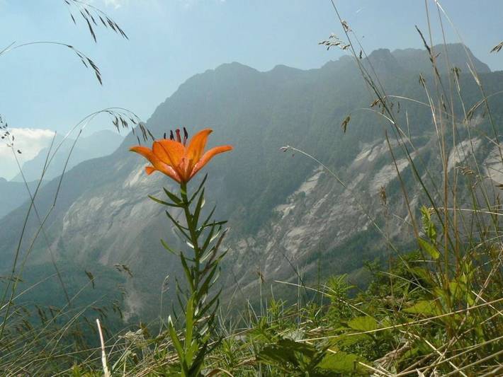 Hôtel pour 2 personnes, avec jardin ainsi que sauna et jacuzzi à Vernante - 4
