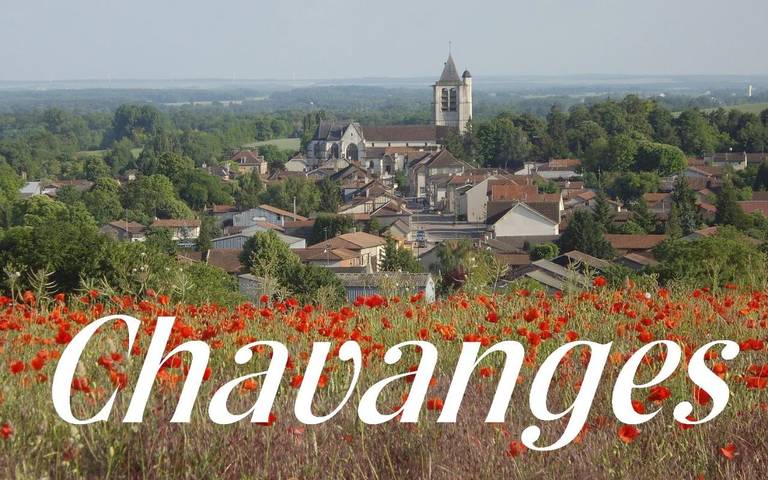 Cottage pour 3 personnes, avec terrasse et vue à Chavanges