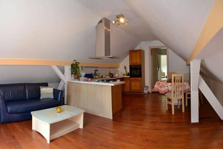 Gîte pour 8 personnes, avec vue et terrasse, animaux acceptés à Wangenbourg-Engenthal - 3
