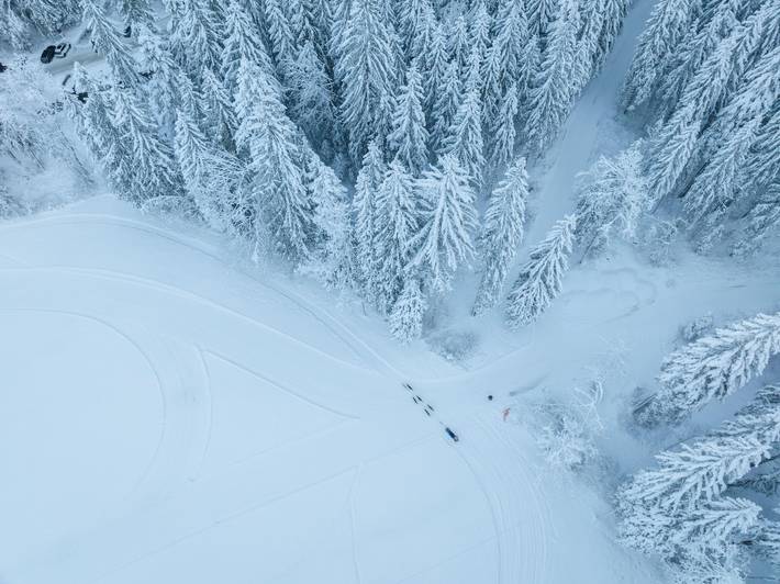 Gästezimmer für 3 Personen, mit Garten in der Schweiz - 3