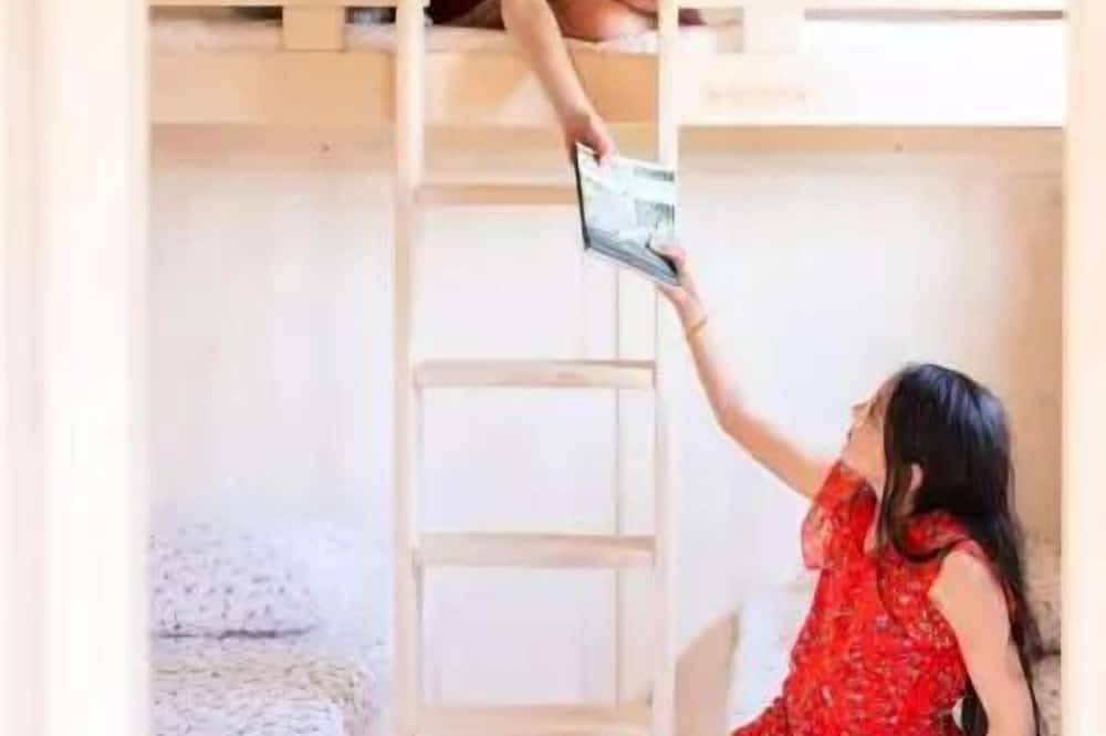Eco -logdes 4 Ã  5 personnes - 4 pers. inclus dans le tarif in Ploemel, Côte des Mégalithes