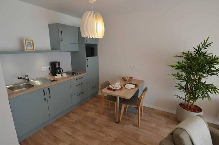 Location de vacances pour 4 personnes, avec piscine et jardin ainsi que sauna et jacuzzi, animaux acceptés à Mont-Saint-Aignan - 4