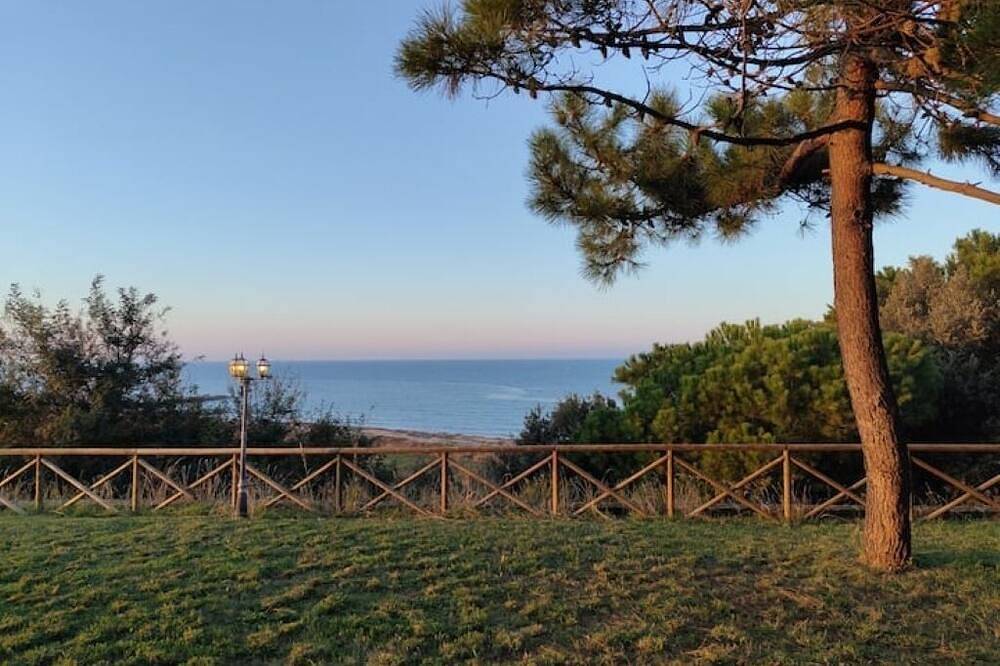 Der Fuchs im Kiefernwald in Spiaggia di Casalbordino (Vasto), Vasto