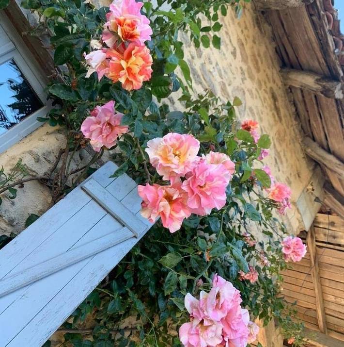 Location de vacances pour 6 personnes, avec piscine ainsi que vue et jardin dans Gorre - 3