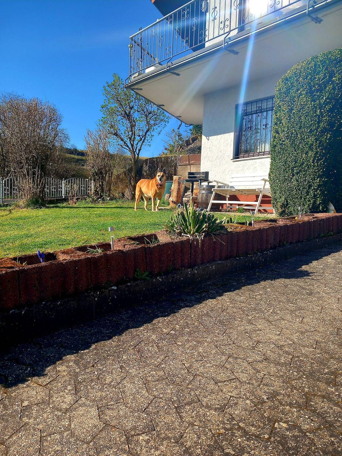 Eifel Urlaub mit Hunden Ferienhaus Schwalbennest Schalkenmehren in Schalkenmehren, Vulkaneifel