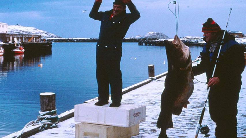 Ferienhaus für 8 Personen, mit Garten, mit Haustier in Finnmark - 3