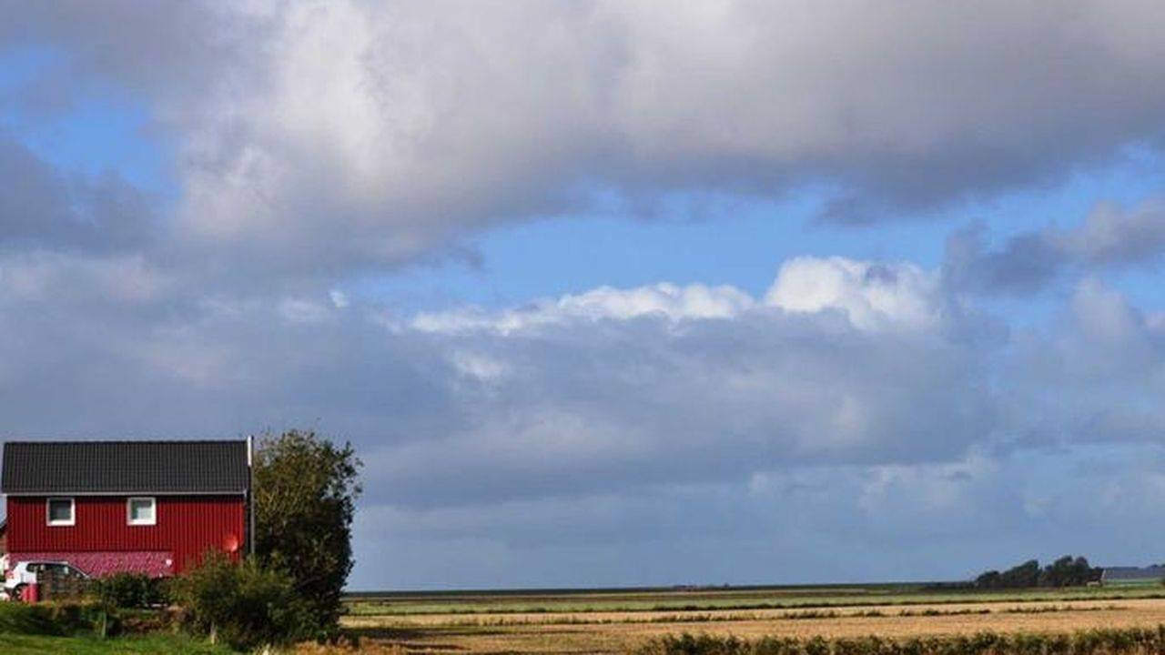 Ferienhaus für 3 Personen (60 m²) in Nordstrand in Nordstrand (Gemeinde), Nordstrand