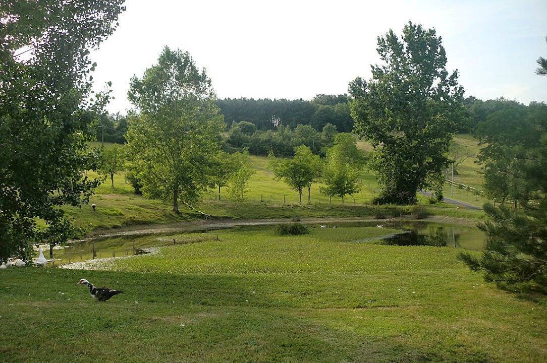 Chambre d’hôte pour 2 personnes avec jacuzzi in Saint-Sulpice-de-Roumagnac, Périgord Vert