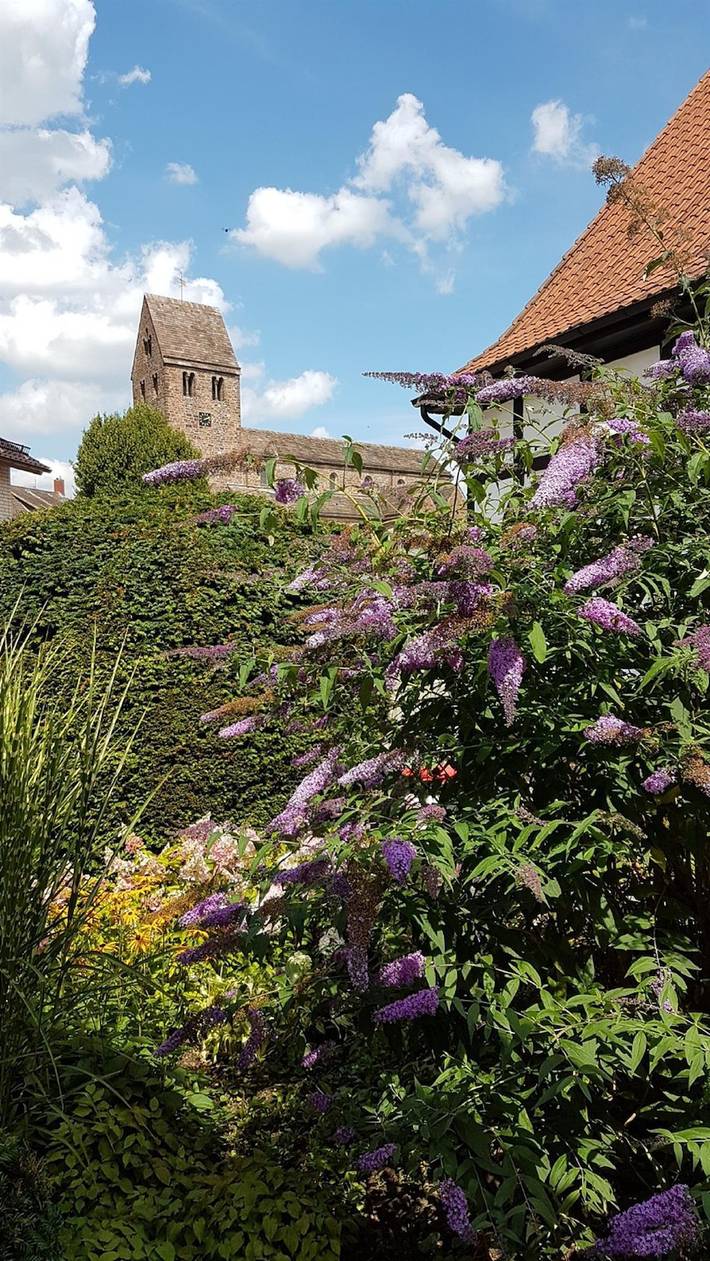Ferienhaus für 2 Personen, mit Terrasse und Garten in Bad Pyrmont - 3